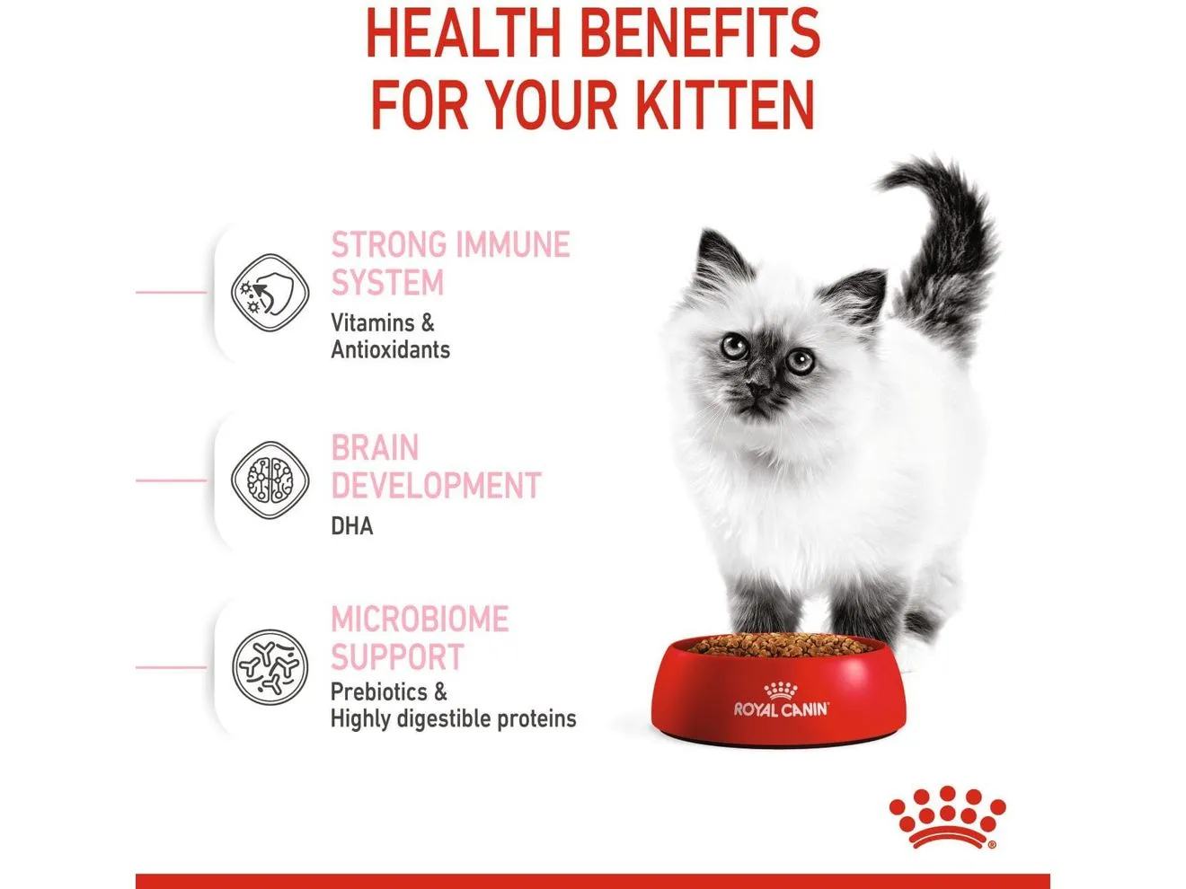 Feline Health Nutrition Kitten 10 KG